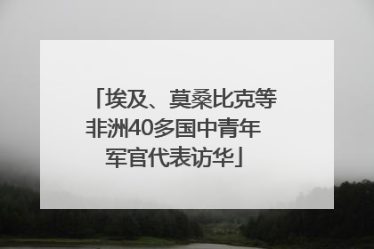 埃及、莫桑比克等非洲40多国中青年军官代表访华