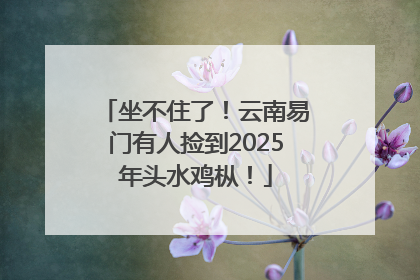 坐不住了！云南易门有人捡到2025年头水鸡枞！