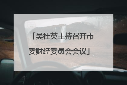吴桂英主持召开市委财经委员会会议