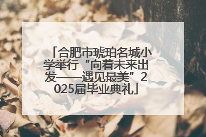 合肥市琥珀名城小学举行“向着未来出发——遇见最美”2025届毕业典礼