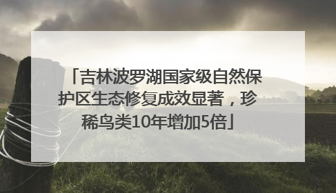 吉林波罗湖国家级自然保护区生态修复成效显著，珍稀鸟类10年增加5倍