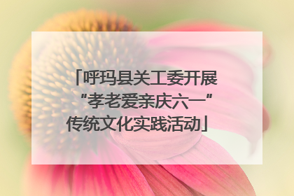 呼玛县关工委开展“孝老爱亲庆六一”传统文化实践活动