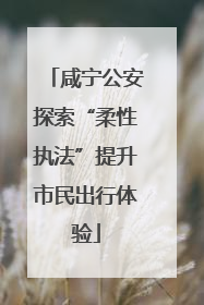 咸宁公安探索“柔性执法”提升市民出行体验