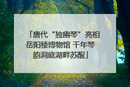 唐代“独幽琴”亮相岳阳楼博物馆 千年琴韵洞庭湖畔苏醒