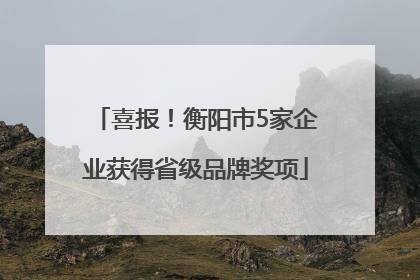 喜报！衡阳市5家企业获得省级品牌奖项