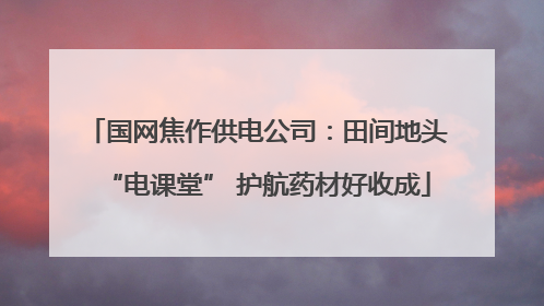 国网焦作供电公司：田间地头“电课堂” 护航药材好收成
