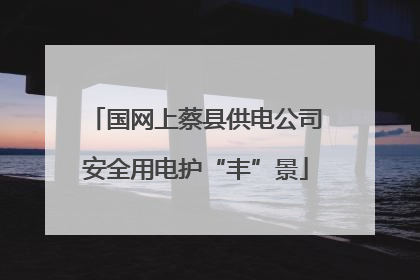国网上蔡县供电公司安全用电护“丰”景