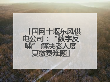 国网十堰东风供电公司：“数字反哺” 解决老人度夏缴费难题