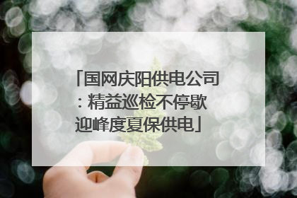 国网庆阳供电公司：精益巡检不停歇 迎峰度夏保供电