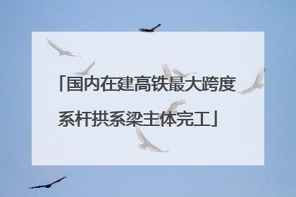 国内在建高铁最大跨度系杆拱系梁主体完工