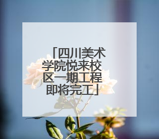 四川美术学院悦来校区一期工程即将完工