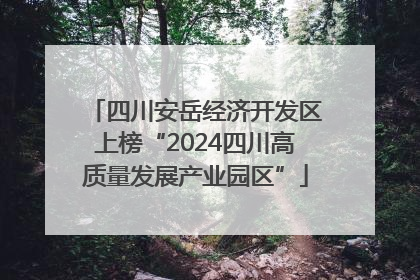 四川安岳经济开发区上榜“2024四川高质量发展产业园区”