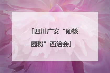 四川广安“硬核圈粉”西洽会