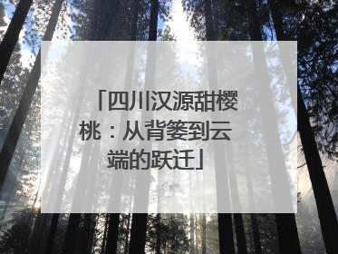 四川汉源甜樱桃：从背篓到云端的跃迁