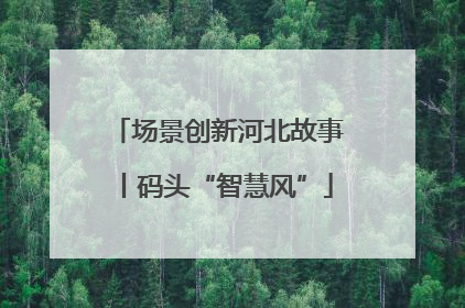 场景创新河北故事丨码头“智慧风”