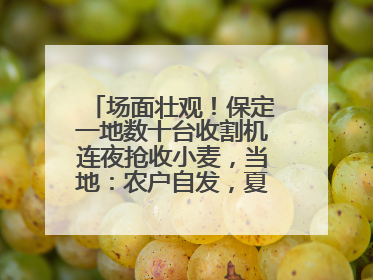 场面壮观！保定一地数十台收割机连夜抢收小麦，当地：农户自发，夏收工作基本完成