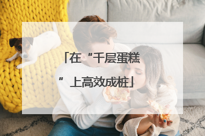 在“千层蛋糕”上高效成桩