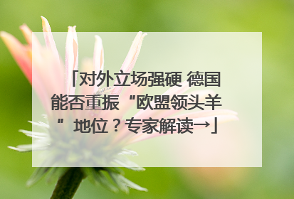 对外立场强硬 德国能否重振“欧盟领头羊”地位？专家解读→