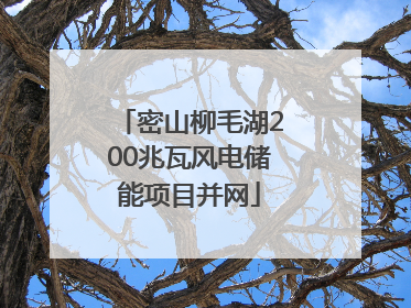 密山柳毛湖200兆瓦风电储能项目并网