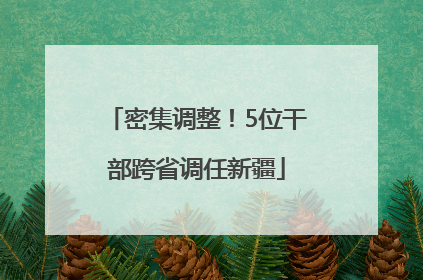 密集调整！5位干部跨省调任新疆