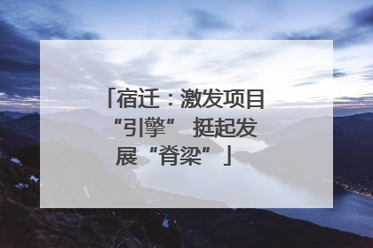 宿迁：激发项目“引擎” 挺起发展“脊梁”