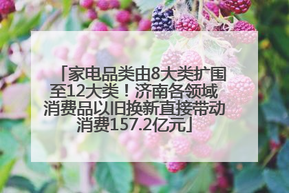 家电品类由8大类扩围至12大类！济南各领域消费品以旧换新直接带动消费157.2亿元