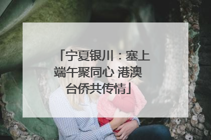 宁夏银川：塞上端午聚同心 港澳台侨共传情
