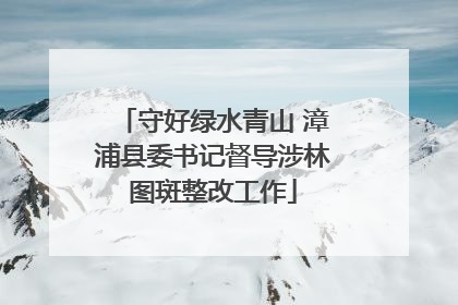 守好绿水青山 漳浦县委书记督导涉林图斑整改工作