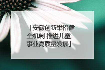 安徽创新举措健全机制 推进儿童事业高质量发展