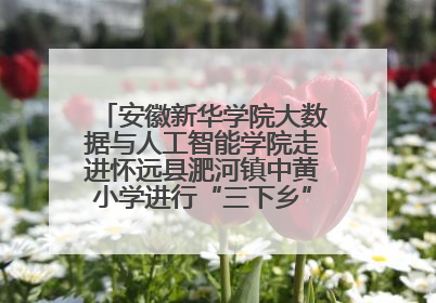 安徽新华学院大数据与人工智能学院走进怀远县淝河镇中黄小学进行“三下乡”支教活动