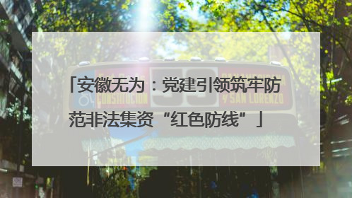 安徽无为：党建引领筑牢防范非法集资“红色防线”