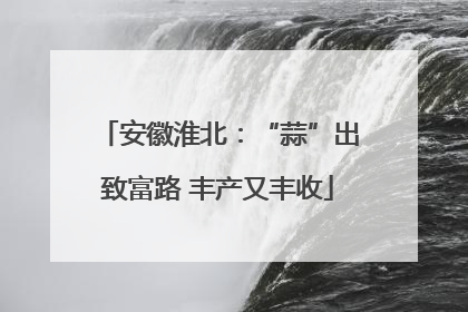 安徽淮北：“蒜”出致富路 丰产又丰收