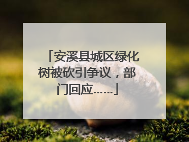 安溪县城区绿化树被砍引争议，部门回应……