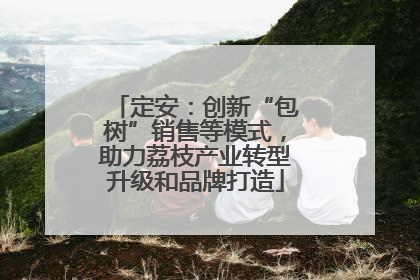 定安：创新“包树”销售等模式，助力荔枝产业转型升级和品牌打造