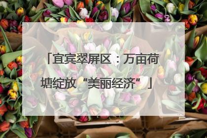 宜宾翠屏区：万亩荷塘绽放“美丽经济”