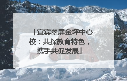 宜宾翠屏金坪中心校：共探教育特色，携手共促发展