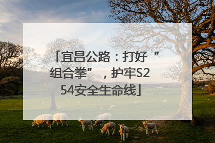 宜昌公路：打好“组合拳”，护牢S254安全生命线