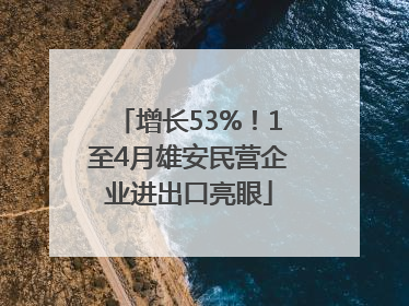 增长53%！1至4月雄安民营企业进出口亮眼