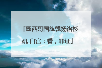 墨西哥国旗飘扬洛杉矶 白宫：看，罪证