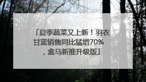 夏季蔬菜又上新！羽衣甘蓝销售同比猛增70%，盒马新推升级版