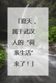 夏天，属于武汉人的“荷系生活”来了！