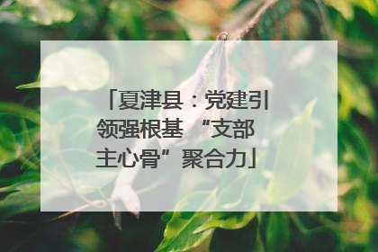 夏津县：党建引领强根基 “支部主心骨”聚合力