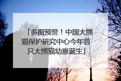 多图预警！中国大熊猫保护研究中心今年首只大熊猫幼崽诞生