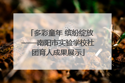 多彩童年 缤纷绽放——南阳市实验学校社团育人成果展示