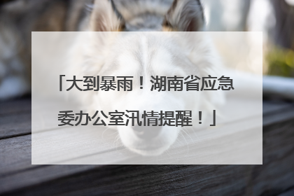 大到暴雨！湖南省应急委办公室汛情提醒！
