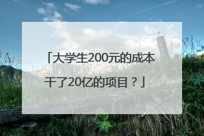 大学生200元的成本干了20亿的项目？