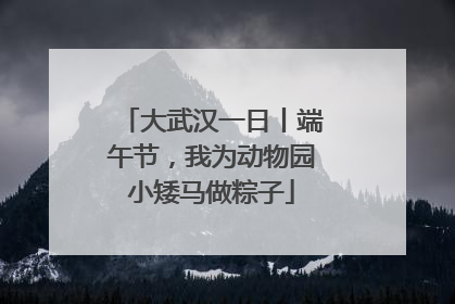 大武汉一日丨端午节，我为动物园小矮马做粽子