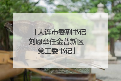 大连市委副书记刘恩举任金普新区党工委书记