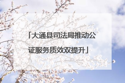 大通县司法局推动公证服务质效双提升