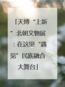 天博“上新”北朝文物展：在这里“遇见”民族融合大舞台